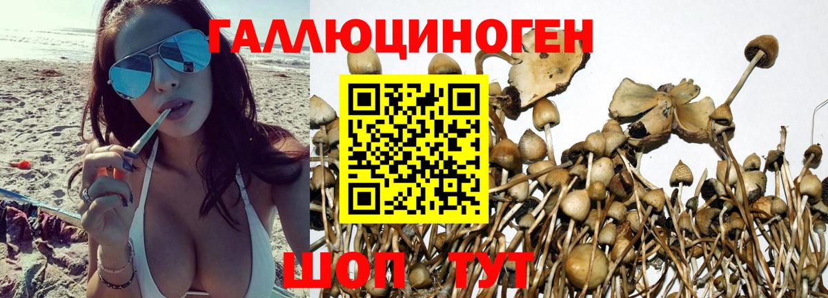 Нягань  Псилоцибиновые грибы Psilocybe  Псилоцибиновые грибы Magic Shrooms  Вход с VPN 