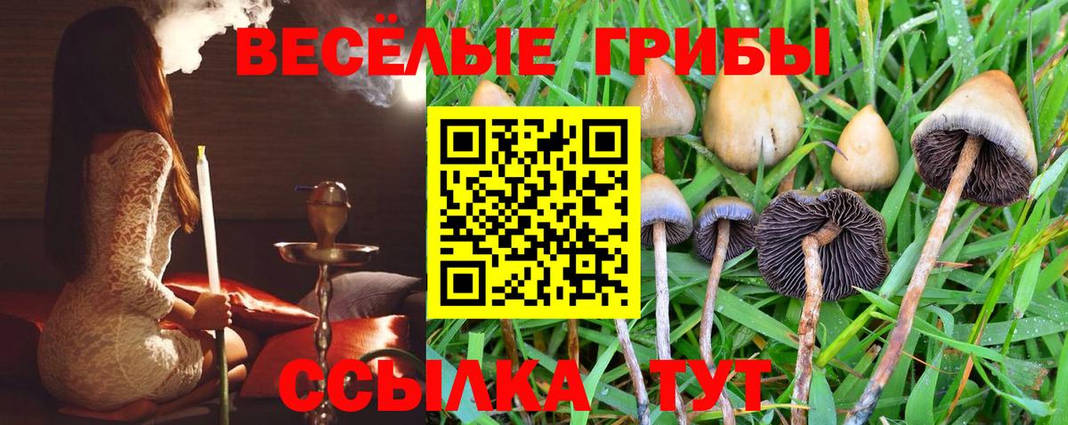 Псилоцибиновые грибы Magic Shrooms Нягань